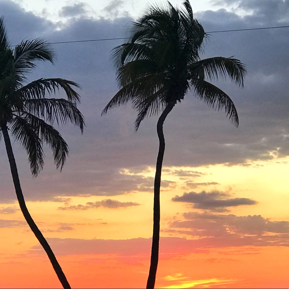 Meet your Posher, Jess